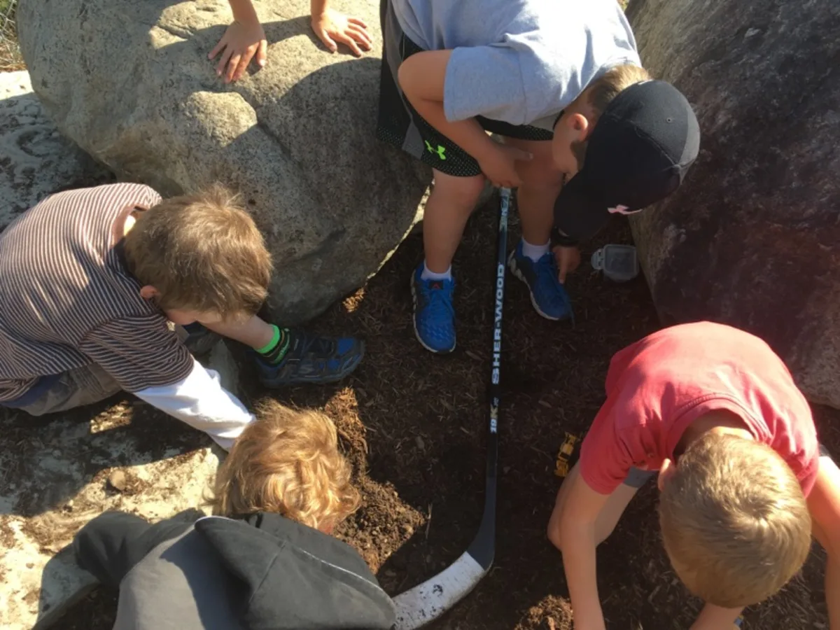 Post thumbnail image