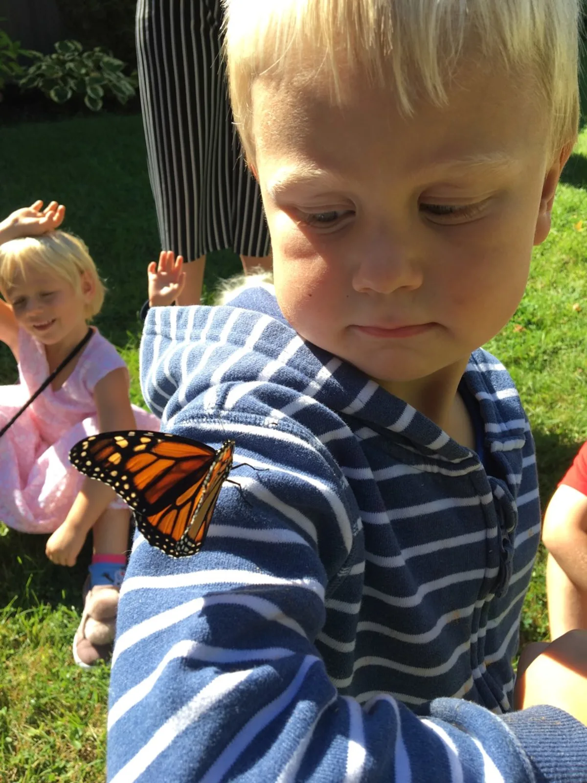 Post thumbnail image