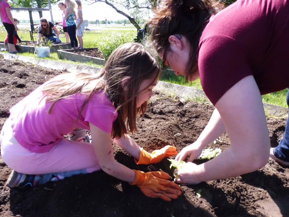 Post thumbnail image