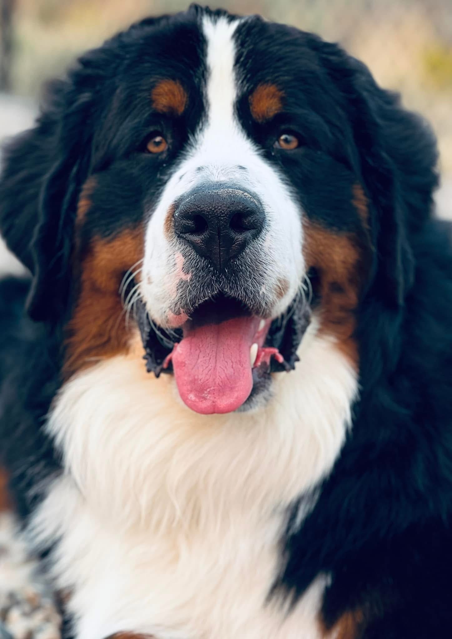 Adorable ❤️