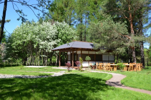 Место силы и красоты: Дендрарий им. С.Ф. Харитонова