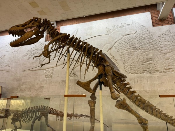 Путешествие в Москву: ВДНХ и Палеонтологический музей