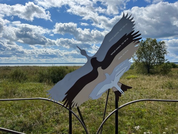 В гости к серой цапле