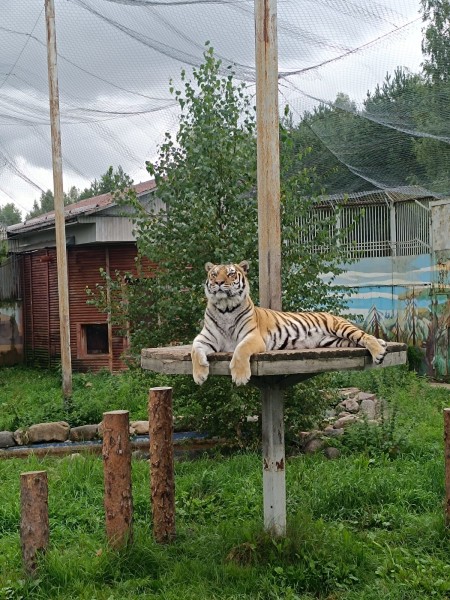 Ярославский зоопарк
