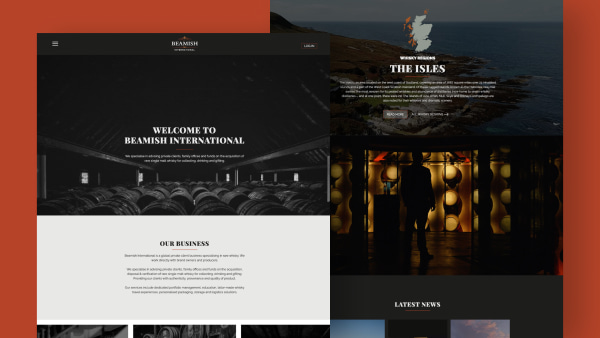 Screenshot of a website for Beamish International with sections for business, services, and news.