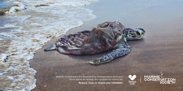 A sea turtle rests on a sandy beach, waves gently lapping at its shell.