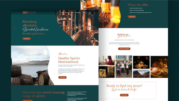 Website designs showing graphic design elements and strong branding