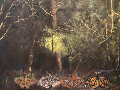 Butterflies_2024