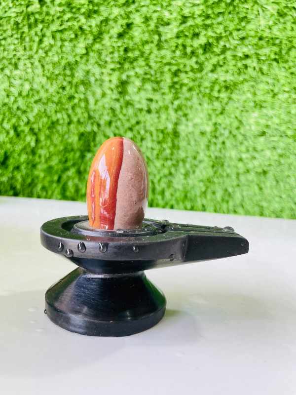 Premium Ardhanareshwar Polished Narmadeshwar Shivling