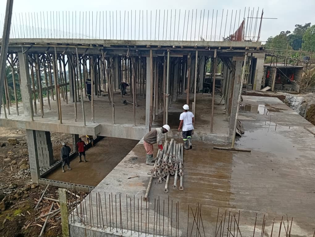 Banginic Bornage et délimitation d’un terrain project
