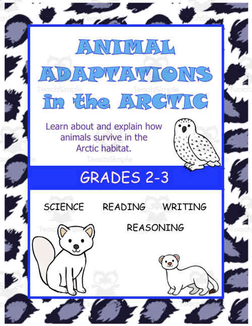 Animal Adaptations - Arctic by Teach Simple