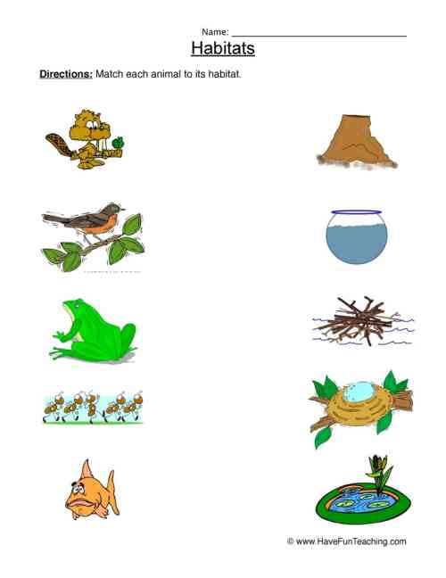 Animal Habitats Matching Worksheet by Teach Simple Animal Habitats Matching Worksheet by Teach Simple
