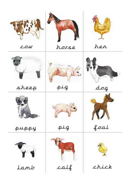 Farm Animals - Mother & Baby Match Set by Teach Simple Farm Animals - Mother & Baby Match Set by Teach Simple
