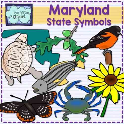 maryland state flower and bird