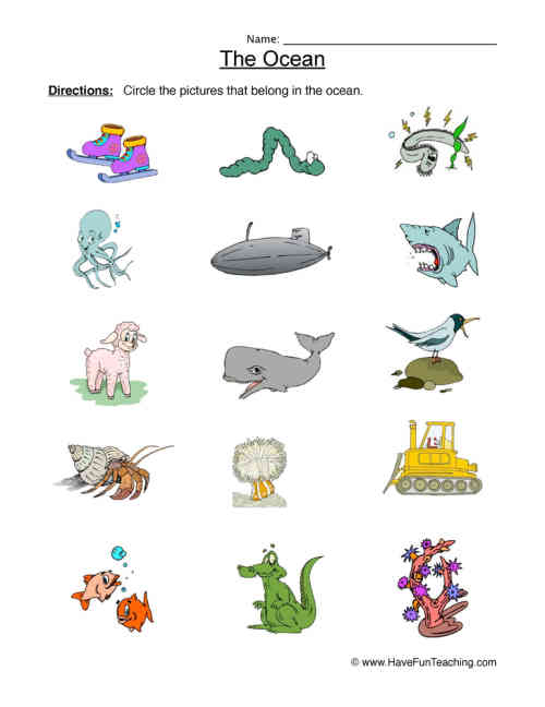 Ocean Animal Habitat Worksheet by Teach Simple Ocean Animal Habitat Worksheet by Teach Simple