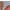 Product image #0