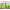 Product image #0