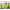 Product image #0
