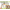 Product image #0