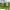 Product image #0