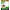 Product image #0