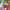 Product image #0