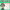 Hidden Figures (Movie Guide)