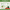 Life Cycle of a Watermelon Worksheet | Plants & Fruits Unit Study
