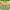 Long and Short O: Letters Phonics Games and Activities - The Grid