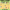 Short O: Letters Phonics Games and Activities - MemWord