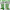 St. Patrick's Day Number Seek and Find Mats Leprechaun Hats