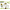 Sunflowers – Factual Interview Text, Glossary & Student Profile