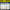 Word Families  - Spin and Color (at, ap, an)