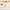 Plurals S IES Activity