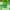 Tree Template