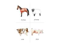 Product image #0