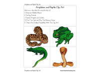 Product image #0