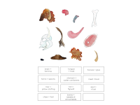 Product image #2