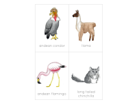 Product image #1