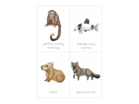 Product image #3