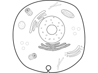 Product image #3