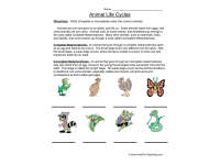 Product image #0