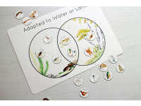 Product image #0