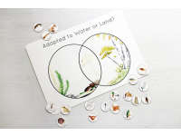 Product image #1