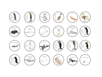 Product image #3