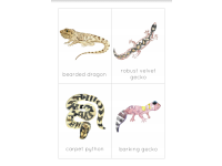 Product image #0
