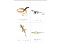 Product image #1