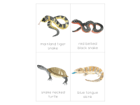 Product image #3