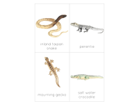 Product image #4