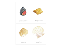 Product image #1